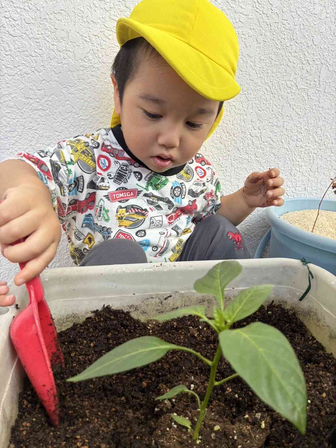 苗植え｜ニチイキッズコザ高通り保育園｜ニチイキッズ